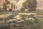 unknow artist Field of Daisies oil painting picture wholesale